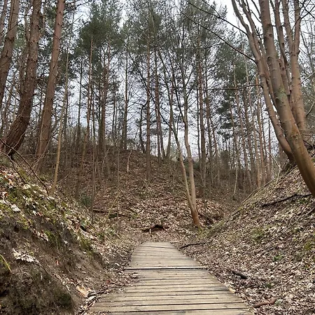 Resort Eden - Domki, Pokoje, Apartamenty Jastrzębia Góra Zewnętrze zdjęcie